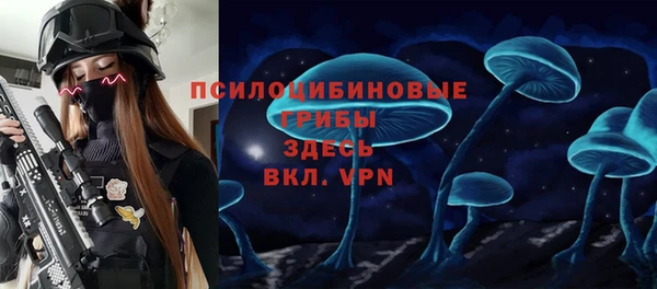 ПСИЛОЦИБИНОВЫЕ ГРИБЫ Абинск